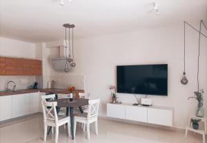Televízia a/alebo spoločenská miestnosť v ubytovaní LUXURY APARTMENT MEJE