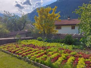 Aed väljaspool majutusasutust Hotel Crusch Alba Sta Maria