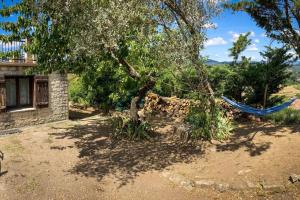 una hamaca colgando de un árbol en un patio en maison à Joyeuse sud Ardèche, en Joyeuse