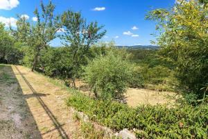 un campo con árboles y arbustos en una colina en maison à Joyeuse sud Ardèche, en Joyeuse