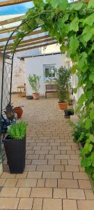 a patio with potted plants and a pergola at Ferienhaus Cornelia in Koblenz