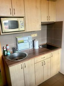 a small kitchen with a sink and a microwave at Ubytování Vlachovice u Nového Města na Moravě in Nové Město na Moravě
