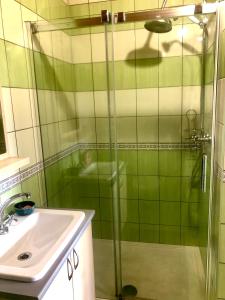 a bathroom with a shower and a sink at Ubytování Vlachovice u Nového Města na Moravě in Nové Město na Moravě