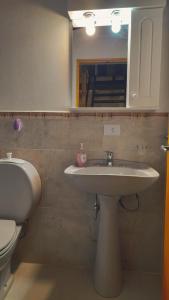 a bathroom with a sink and a toilet and a mirror at CABAÑA LA SUREÑA in San Martín de los Andes +11 photos