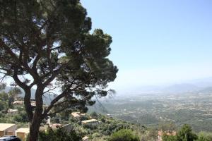 un albero seduto sulla cima di una collina con una valle di Montecolcau Panoramic view a Baunei