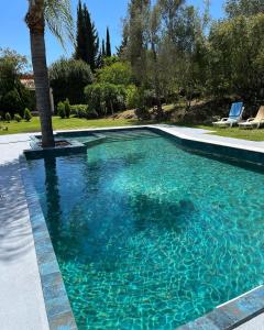 una gran piscina con una palmera. en Quinta da Sao Joao - Villa Oliveira, en Olhão