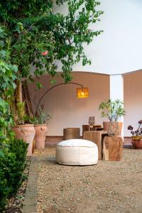 Hostal Es Niu de Tamariu外面的花园