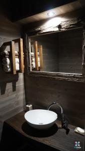 a bathroom with a white sink and a mirror at Gervės dvaro svečių namelis in Vėžionys