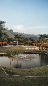 um lago com uma palmeira em frente a um resort em Chalé Caiçara em Caraguatatuba
