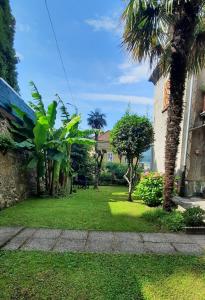 um quintal com palmeiras e uma casa em Casa Giulia em Luino