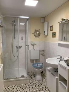 a bathroom with a shower and a toilet and a sink at Ferienhaus Cornelia in Koblenz