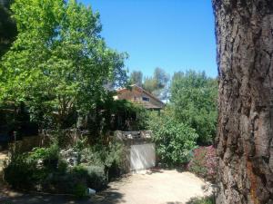 Ogród w obiekcie Maison de charme avec piscine et jacuzzi dans cadre exceptionnel proche Marseille
