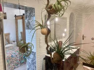 pokój z roślinami i lustrem w obiekcie Maison de charme avec piscine et jacuzzi dans cadre exceptionnel proche Marseille w mieście Les-Pennes-Mirabeau