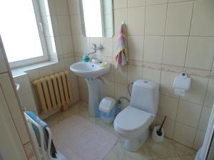 a small bathroom with a toilet and a sink at Villa Turysta in Białystok +14 photos