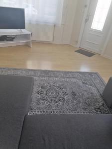 a living room with a rug and a television at Lille près du CHU Lille in Lille