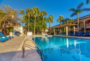 Gamma Guaymas Armida Hotel في غوايماس: مسبح في منتجع فيه نخل