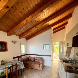 a kitchen and living room with a couch and a table at Apartmani Lisak Ugrina in Barić Draga +16 photos