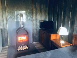 a room with a fireplace with a lamp and a tv at Forest cabin in Ozolaine