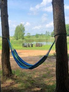 hamak pomiędzy dwoma drzewami w parku w obiekcie Forest cabin w mieście Ozolaine