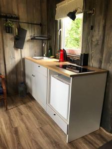 a kitchen with a sink and a counter top at Forest cabin in Ozolaine