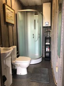 a bathroom with a shower and a toilet and a sink at Forest cabin in Ozolaine