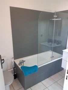 ein Bad mit einer Dusche, einem Waschbecken und einem WC in der Unterkunft Studio dans résidence avec piscine in Montpellier