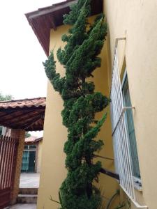 a green tree on the side of a building at POUSADA GRACAS in Cachoeira Paulista