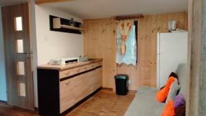 a kitchen with a counter and a refrigerator at Oleandria -,,Domek Pokrzywa" in Biskupiec
