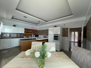 Una cocina o cocineta en Villa Isabela - Car Rental for Free