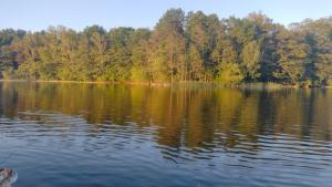 ビスクピエツにあるOleandria -,,Domek Pokrzywa"のギャラリーの写真 +24枚の写真