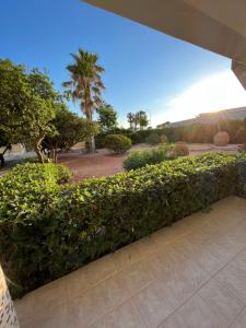 Un jardín fuera de Cosy flat with magnificent views in L'Albir