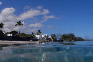 - une vue sur la plage avec des palmiers et l'eau dans l'établissement Villa calme et confortable avec vue océan, à Saint-Leu