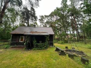 Ogród w obiekcie Ranczo Wilkowyja