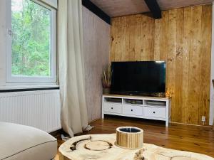 Telewizja i/lub zestaw kina domowego w obiekcie Ranczo Wilkowyja