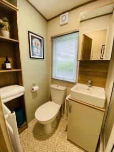 a bathroom with a toilet and a sink at The Sanctuary Holiday Home - Escape the Ordinary in Knaresborough