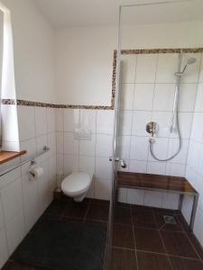 a small bathroom with a toilet and a shower at Ferienwohnung Bauer in Böbing