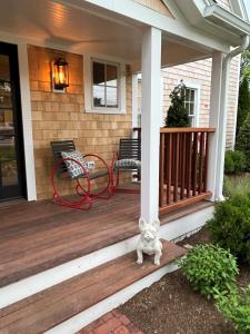 a cat sitting on the porch of a house at The Franklin Hotel Martha's Vineyard in Edgartown