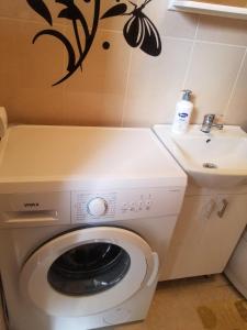 a bathroom with a washing machine and a sink at Apartments Beka in Žabljak