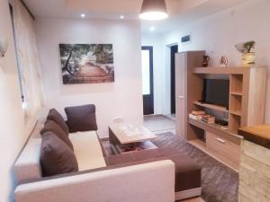 un soggiorno con un divano e una TV di Apartments Beka a Žabljak