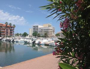 grupa łodzi zacumowanych w przystani w obiekcie Superbe T3 climatisé calme Marina canet 2 min de la plage w mieście Canet-en-Roussillon