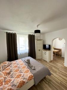 een slaapkamer met een bed, een bureau en een televisie bij La Mary in Old Town in Sibiu