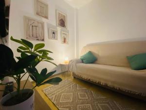 uma sala de estar com um sofá e uma planta em Corazón De Córdoba, la mejor ubicación em Córdoba