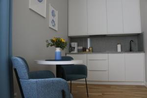 Kuchnia lub aneks kuchenny w obiekcie Apartament Żeromskiego 17 - Insel Apartamenty
