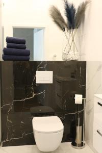 Łazienka z białą toaletą i czarną ścianą w obiekcie Apartament Żeromskiego 17 - Insel Apartamenty w Świnoujściu +36 zdjęć