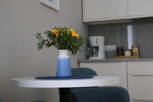Kuchnia lub aneks kuchenny w obiekcie Apartament Żeromskiego 17 - Insel Apartamenty