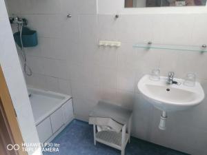 Kúpeľňa v ubytovaní Penzion U Hladů