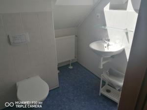 a bathroom with a toilet and a sink at Penzion U Hladů in Úlice