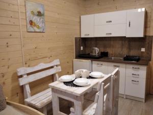 Kuchyňa alebo kuchynka v ubytovaní Domki i apartamenty nad jeziorem solińskim z basenem I widokiem na góry