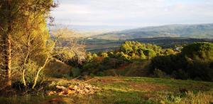 Príroda v okolí vily