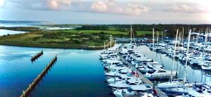a bunch of boats are docked in a marina at Motor Yacht Sea Wolf in Lymington +31 photos
